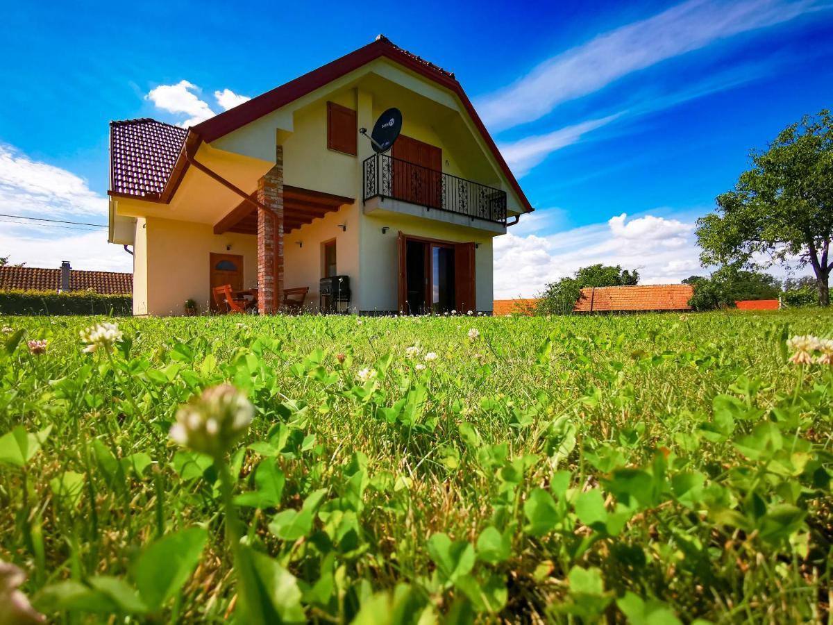 Lindika Villa Lendava Exteriör bild